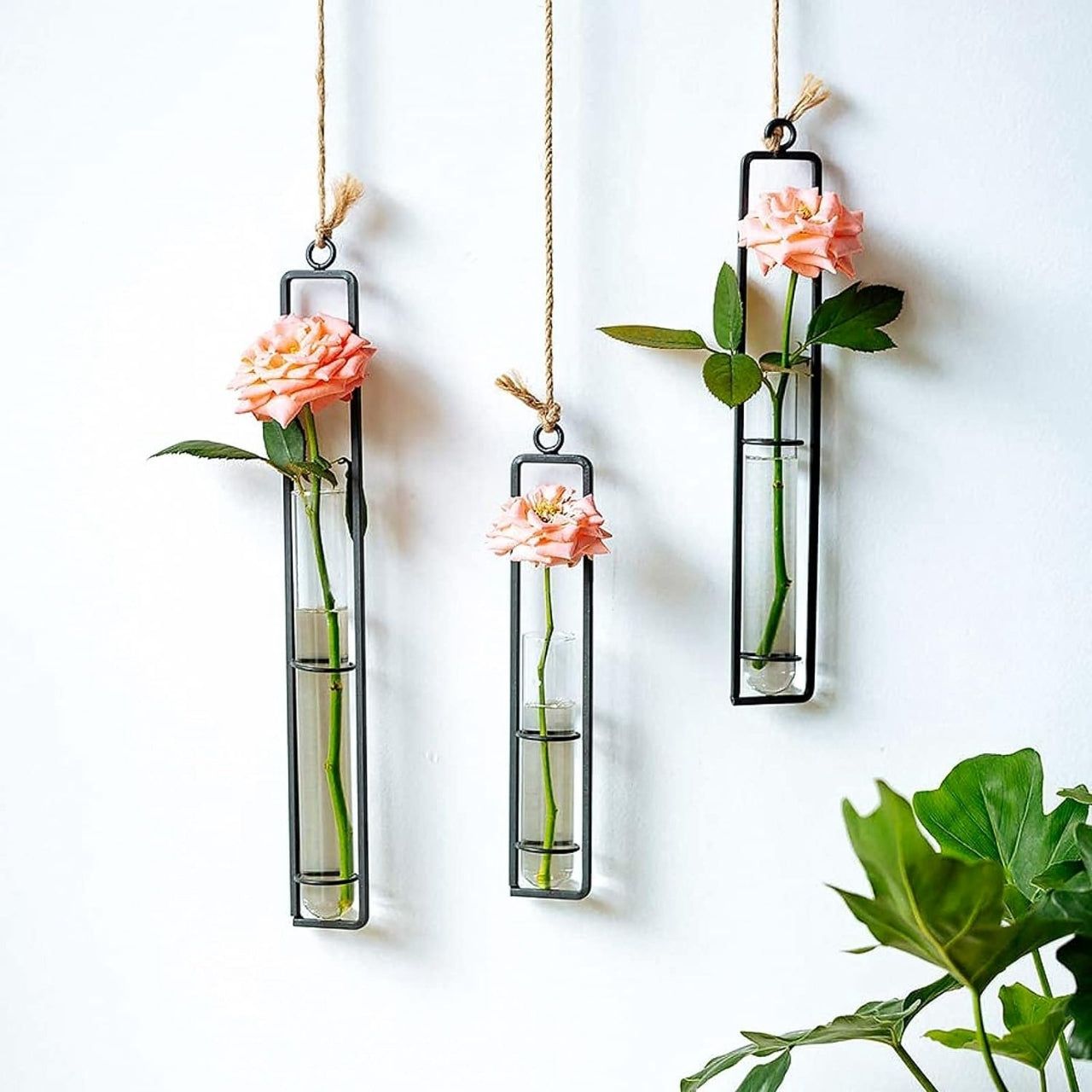 Modern Hanging Glass Vase Set of 3 – Wall Décor Test Tube Planters with Metal Frame