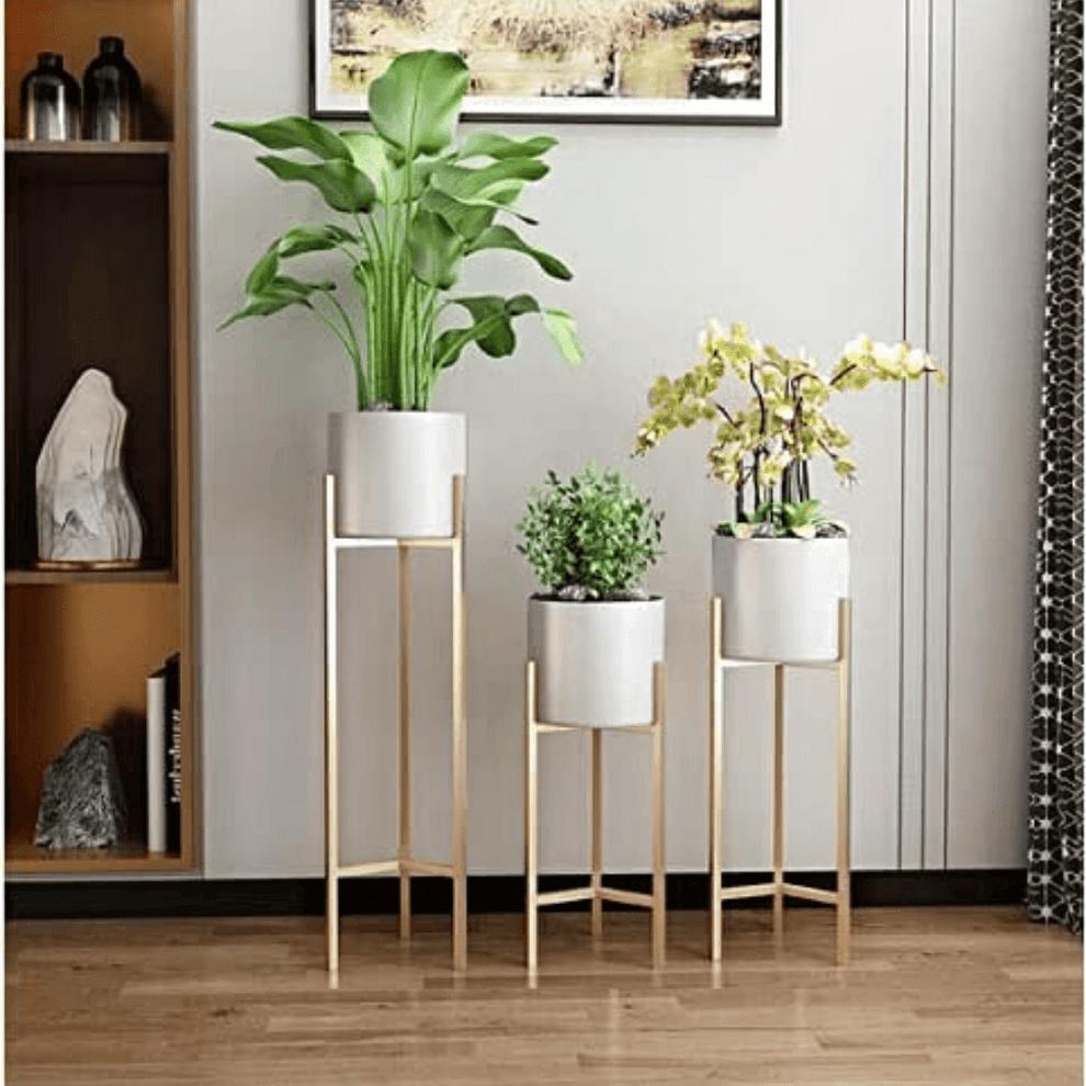 Stylish Metal Plant Stand Set of 3 – Decorative Indoor Planter Holders (Gold Frame)