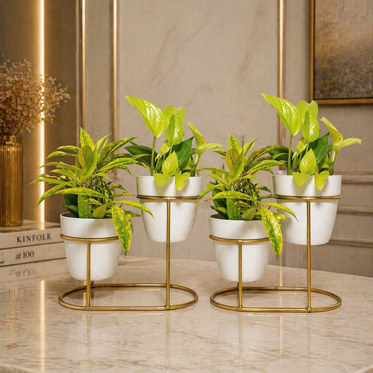 Flower pot stand set of 2