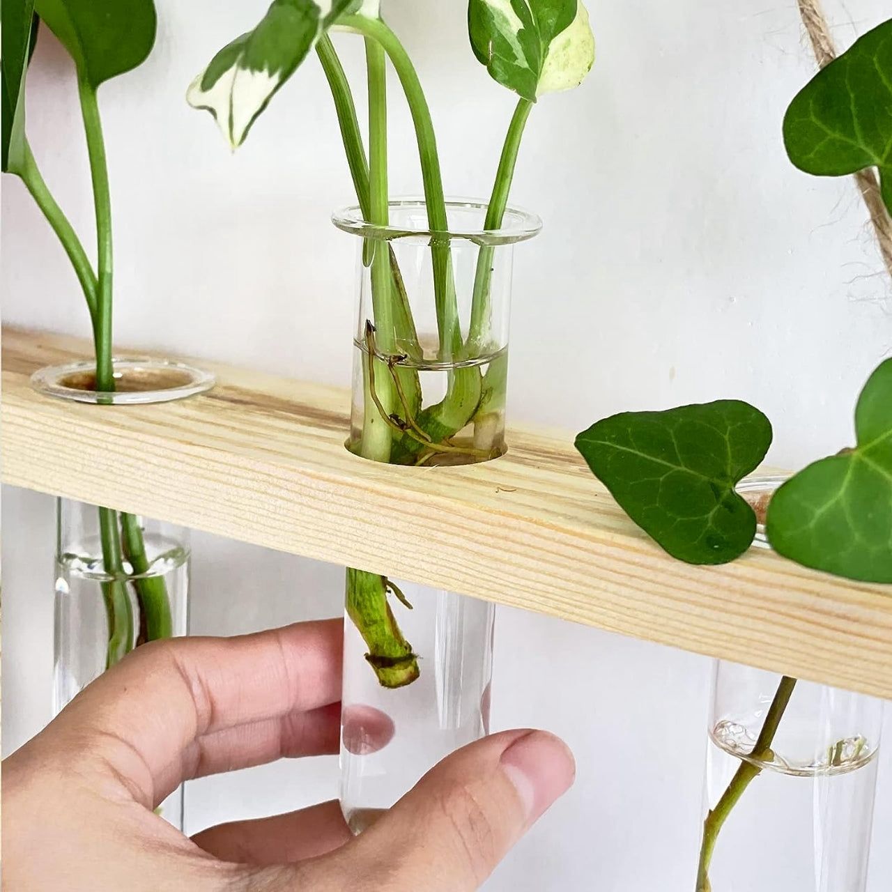 Modern Hanging Test Tube Planter – Wooden Frame Wall Vase with 5 Glass Tubes